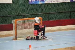 Herne Bay Roller Hockey Goals